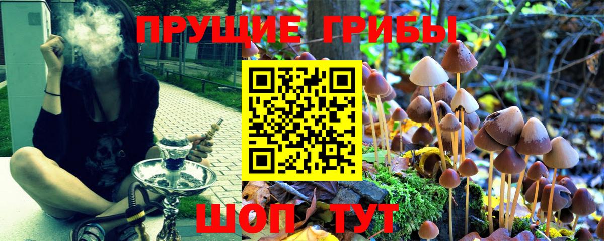 Псилоцибиновые грибы прущие грибы  Вход с VPN  Среднеуральск 